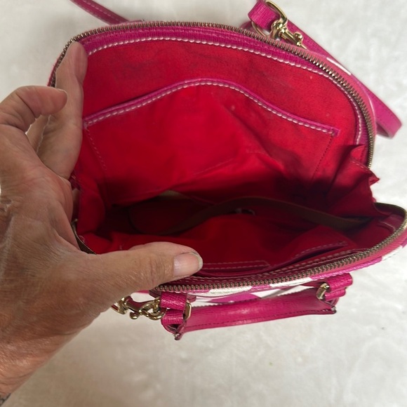 Dooney & Bourke Pink and White Crossbody Bag with Chevron Pattern - Picture 12 of 15